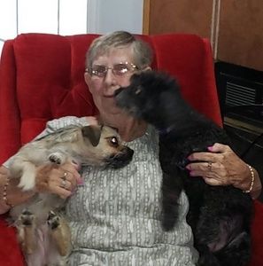 Meet your Posher, Barbara